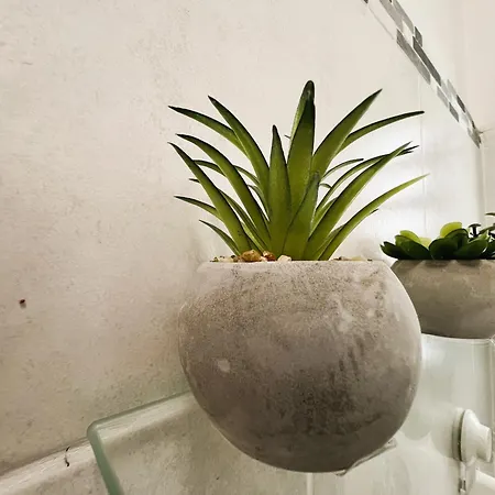 Nid Douillet * 메르레뱅