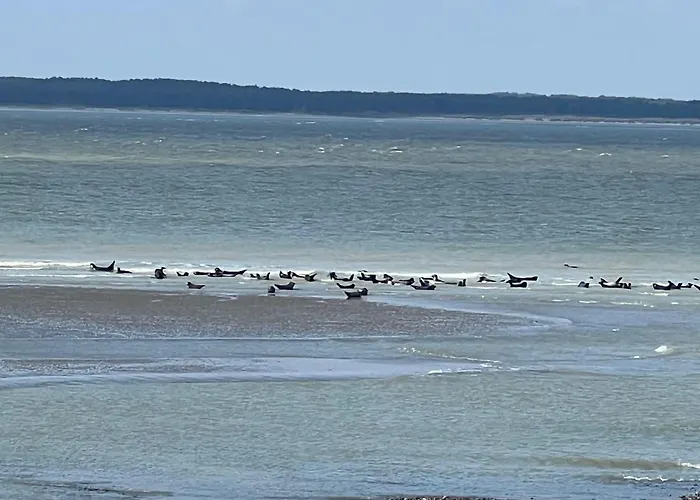 Apartamento Nid Douillet *