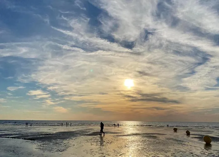 Nid Douillet * Mers-les-Bains