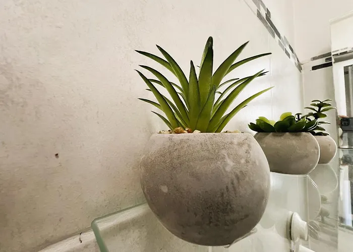 Nid Douillet * Mers-les-Bains